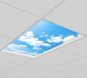 Architectural MRI Ceiling Light with Regressed Lens and Tranquility Biophilic Graphics