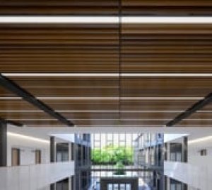 Architectural Linear LED Lighting Fixtures for Armstrong® WoodWorks® and TURF™ Acoustic Ceiling Systems