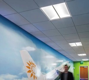 Architectural LED Troffer Light with Anidolic Optics for T-Grid and Drywall Ceilings