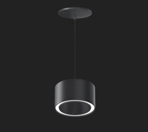 Architectural Circular Pendant-Mount LED Fixture with Title 24 and Living Building Challenge Compliance