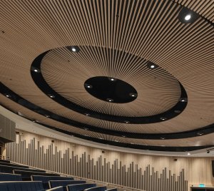 High Visual Comfort Recessed LED Downlight for Auditoriums, Theatres, and Concert Halls