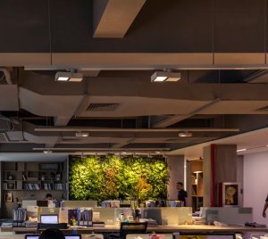 Low-Profile LED Track Spotlight for Hospitality, Retail, and Commercial Spaces