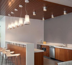 High-Efficacy LED Pendant Light for Damp Location Interiors with Clean Visual Aesthetics