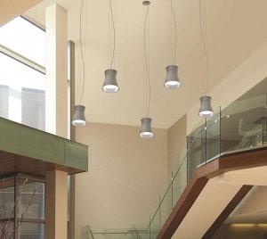 Suspended Industrial Lighting Fixture with Vandal-Resistant Hardware and Decorative Acrylic Ring