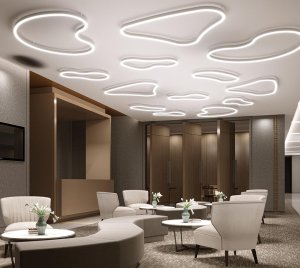 Curvilinear LED Wall and Ceiling Lights with Multiple Sizes and Organic Shapes
