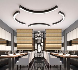 Interrupted Ring Architectural Ceiling Light with Multiple Radii and Playful Form