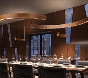 Contemporary Architectural Pendant Light for Hospitality, Commercial, and High-End Residential Applications