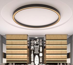 Low-Glare Elliptical Louver LED Ring Light for Commercial and Hospitality Spaces