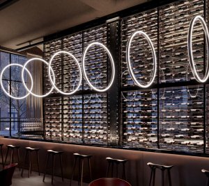 Vertical Suspended LED Decorative Ring Light for Cascading and Clustering Interior Lighting