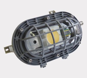 Explosion-Protected Flameproof LED Wall and Ceiling Light for Industrial Pathways and Corridors
