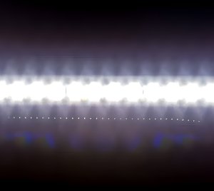 SMD2835 Cool White LED Strip Lights for Retail and Commercial Installations