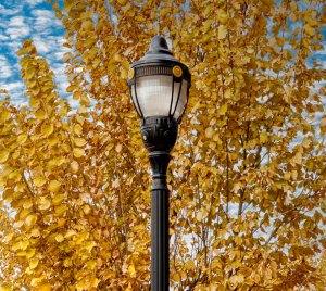 Victorian Acorn LED Street Light with Decorative Cast Aluminum Fitter and Gold Medallions for Municipal Streetscapes
