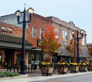 Outdoor Post Top and Arm Mount Area Lighting Fixture for Parks, Pedestrian Areas, and Municipal Spaces