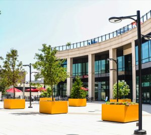 Outdoor LED Street/Area Downlight with Dusk-to-Dawn Photocontrols and Motion Sensor Integration
