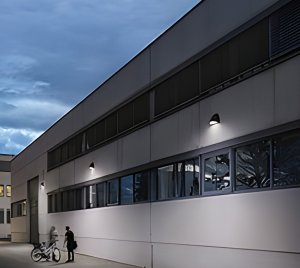 IP65 Wall-Mounted LED Outdoor Light for Perimeter Walkways, Entrances, and Building Exteriors
