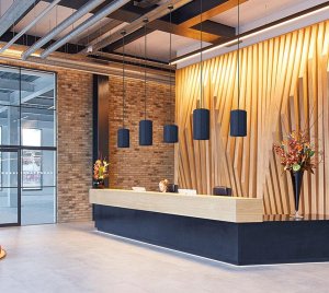 Acoustic LED Pendant Light with Noise Reduction and Design Flexibility for Offices, Conference Rooms, and Hospitality Spaces