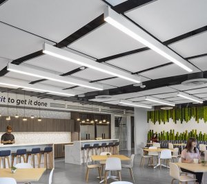 Linear LED Light Fixture with Pop-Down Lens, Biophilic Decorative Finishes, Optional Emergency Battery Backup
