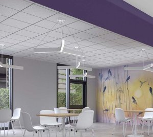 Architectural Y-Shaped Suspended LED Luminaire with Emergency Battery and PoE Integration