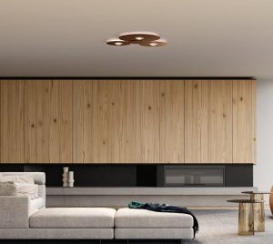 Round Ceiling Lights with Compact Design and Sophisticated Finishes for Modern Homes, Hotels, and Apartments