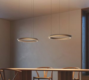 Elegant Ring LED Pendant Light with Fluid Asymmetrical Design Inspired by Celestial Movements