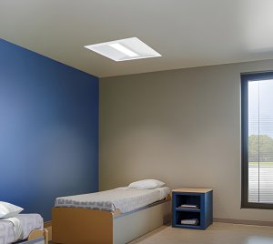 Recessed LED Troffer for Mental Health Facilities with Sealed Ligature Resistant Door Frame