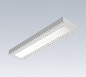 Correctional Facility Ceiling Light with TIG Welded Construction and Security Fasteners for High-Security Applications