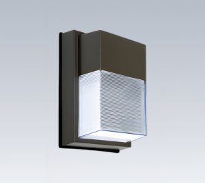 Institutional Wall Pack Light for High Abuse Applications in Public and Educational Buildings