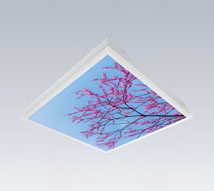 Non-Ferrous Recessed LED Graphic Image Light for MRI and Imaging Suites