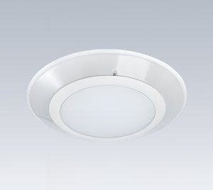 Surface Wall and Ceiling Mount LED Disk Light with Center White and Perimeter RGBW for Behavioral Health and Clinical Applications