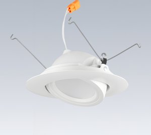 Round 5-Inch Adjustable LED Retrofit Trim with Medium Base Socket Adapter Whip for General Ambient or Accent Lighting