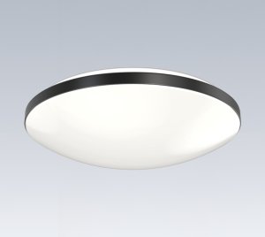 11-Inch Round Flush Mount LED Ceiling Light with Switchable White CCT and Switchable Color Temperatures