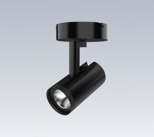 Cylindrical LED Track Head with Integral Driver and Canopy Mount for Ceiling or Wall Applications