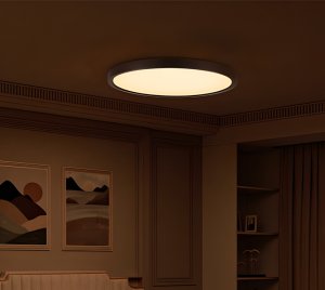 Tunable White Smart Ceiling Light with Smooth Dimming and Moonlight Mode for Bedrooms, Hallways, and Family Spaces