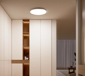 Surface-Mount Smart Ceiling Light with Voice Assistant Integration, Mobile App Control, and Circadian Rhythm Support