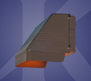 Turtle-Safe Wall Pack Downlight for Wildlife-Sensitive Exterior Areas