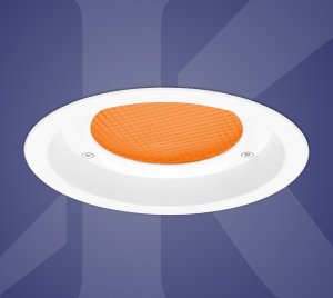 Recessed LED Downlight with No Light Below 560nm for Turtle-Sensitive Covered Exterior Locations