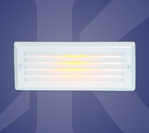 Turtle-Safe Vandal-Resistant LED Nightlight for Stairs and Walkways with Wall Recessed Installation