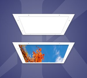 2′ x 2′ Recessed White and Scenic LED Panel Light with Ligature and Vandal Resistant Trim for Behavioral Health
