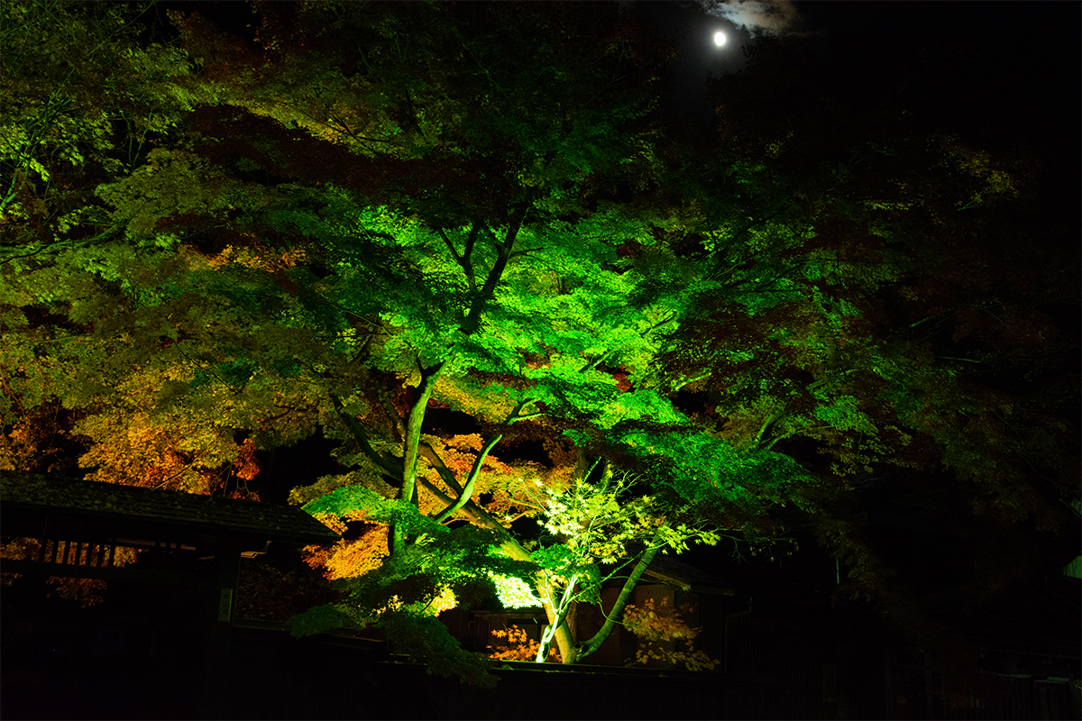 Top Landscape Uplight Manufacturers