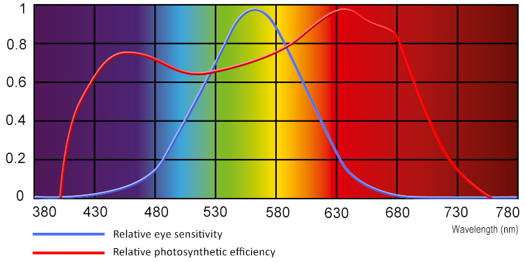 The absorption spectrums of plants