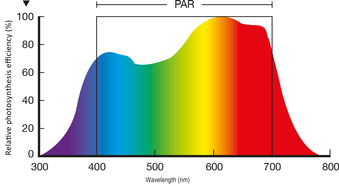 Photosynthetically Active Radiation (PAR) Photosynthetically Active Radiation (PAR)