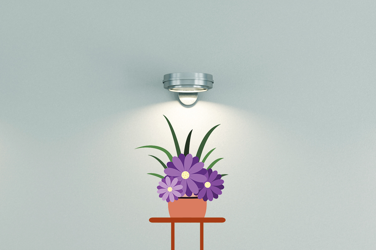 Indoor Wall Lights Indoor Wall Lights