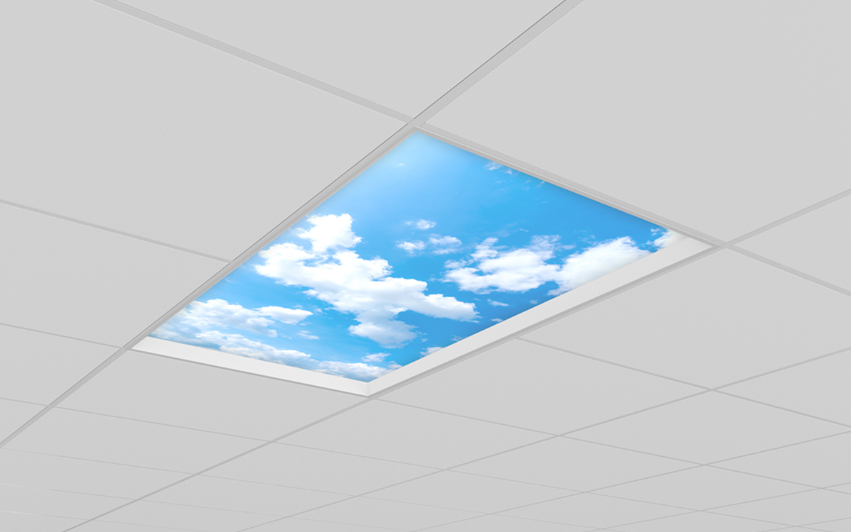Architectural MRI Ceiling Light with Regressed Lens and Tranquility Biophilic Graphics