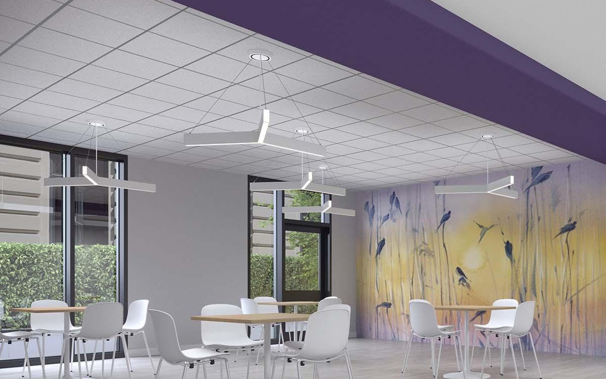 Architectural Y-Shaped Suspended LED Luminaire with Emergency Battery and PoE Integration