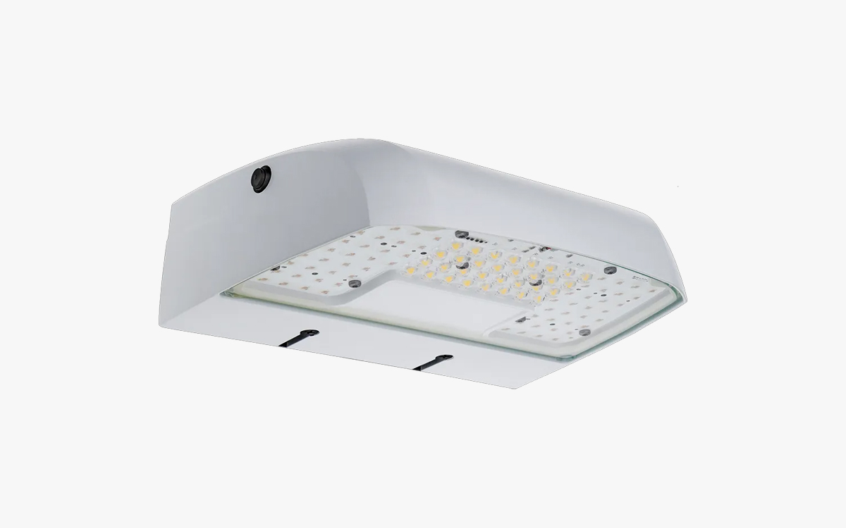 Cree OSQW LED Wall Pack Light with Athena/D4i DALI Controls and DarkSky Compliance