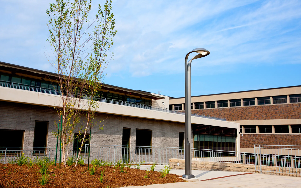 Dark-Sky Approved Sculptural LED Area Light for Parks, Streets, and Pathways