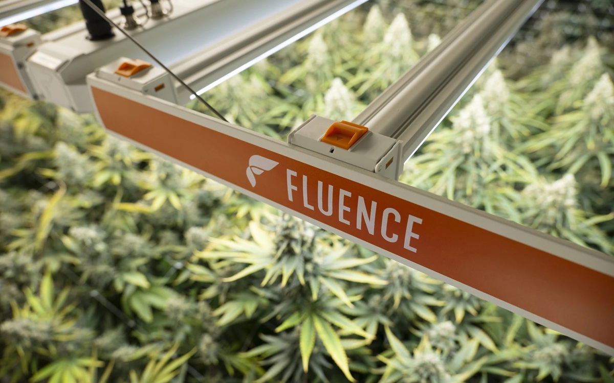 Fluence SPYDR LED Grow Light for Vertical Farms and Controlled Environment Agriculture