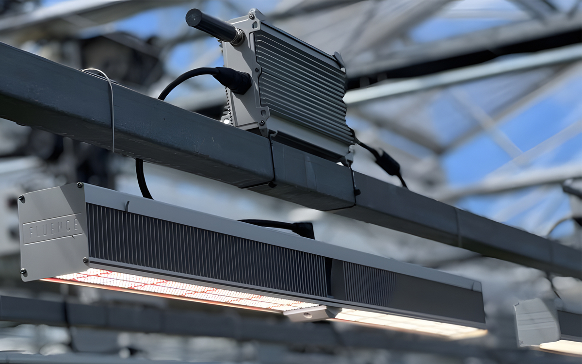 Fluence Wireless Flex Dimming with Bluetooth Mesh for Seamless LED Grow Light Integration