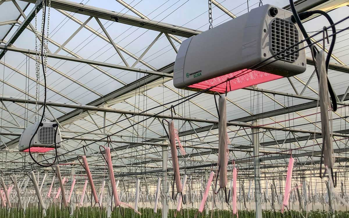 Heliospectra DYNA LED Grow Light for Academic and Commercial Research Labs
