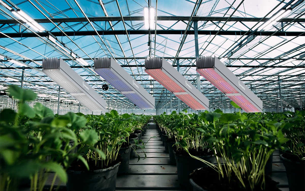 Heliospectra MITRA X C4 LED Grow Light with Red, Blue, White, and Far-Red Spectrum Modulation for All Growth Phases